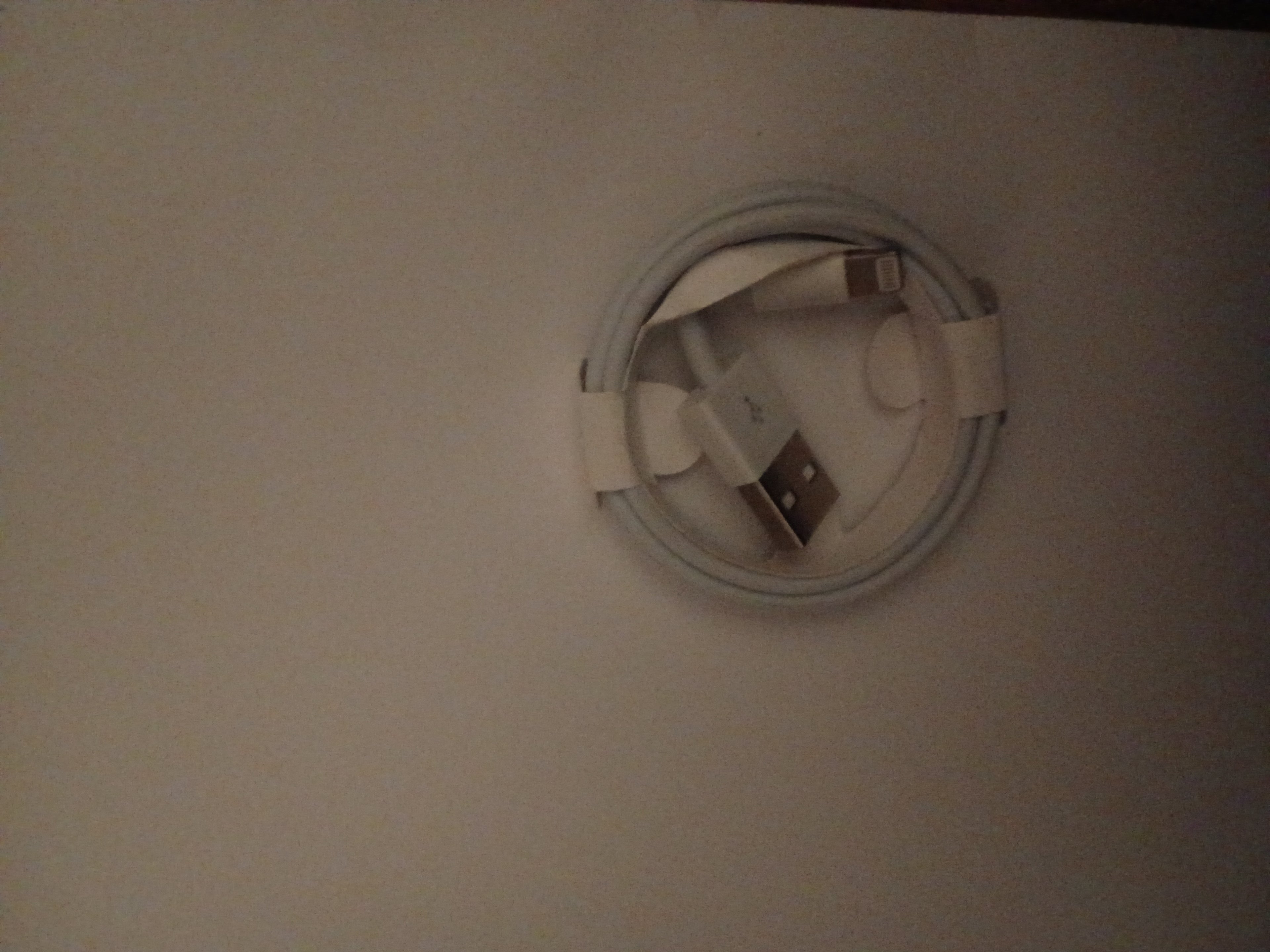 iPhone USB cable